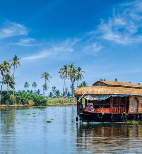 Discovering Kerala: The Ultimate Guide to Travel and Stay