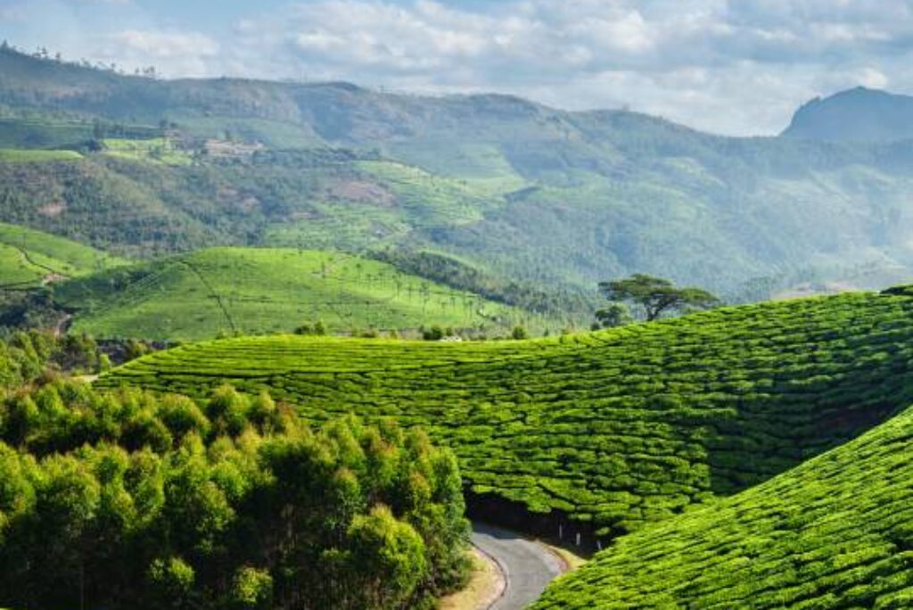 Munnar