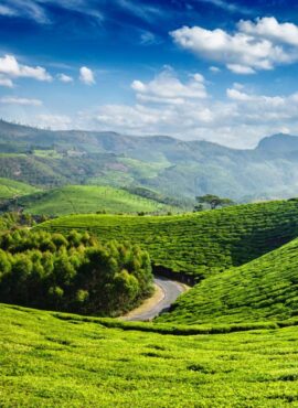 Munnar