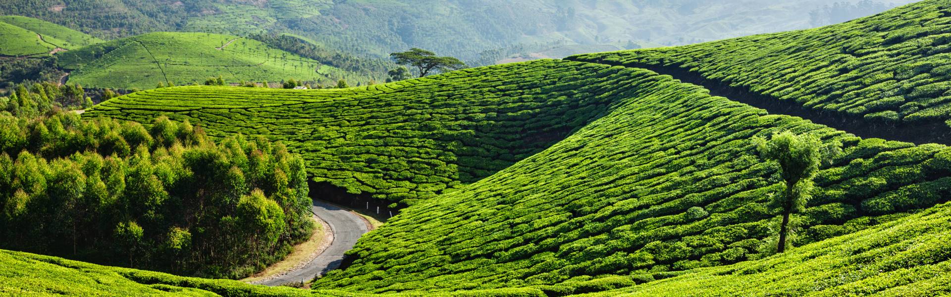 Munnar