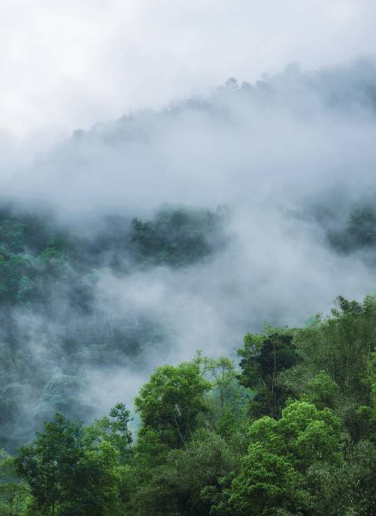 Vagamon