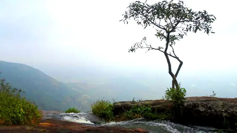 Chellarkovil View