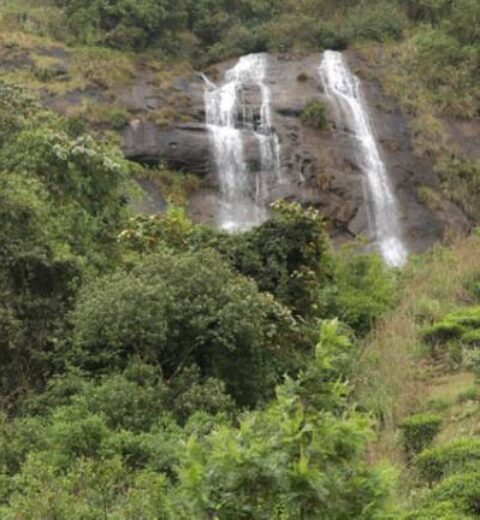 Southern Panorama Indriya