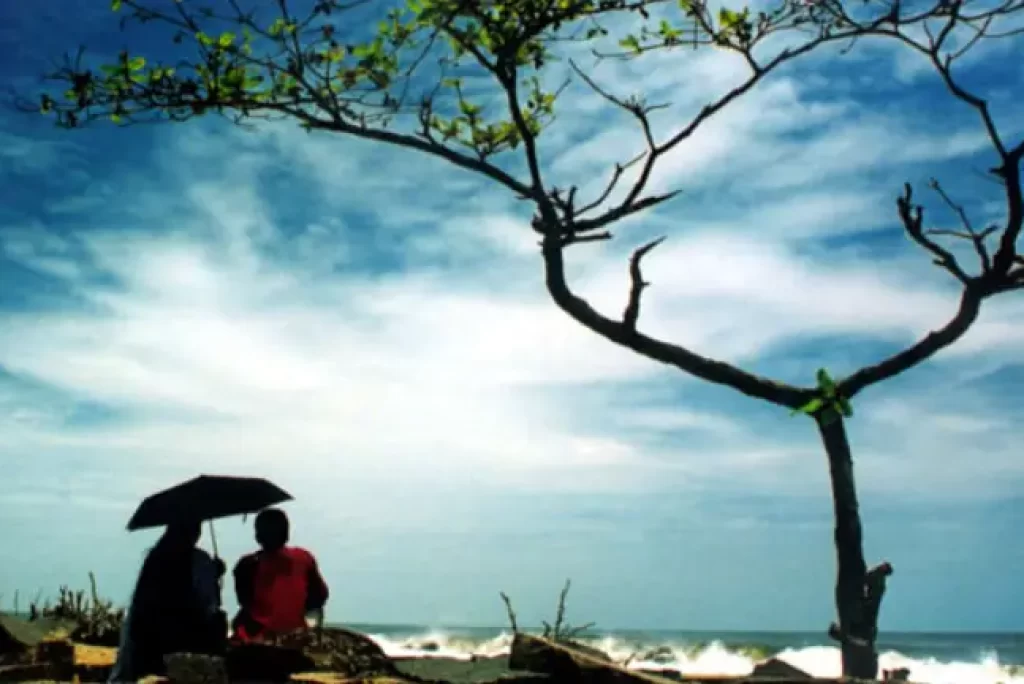 Fort Kochi Beach