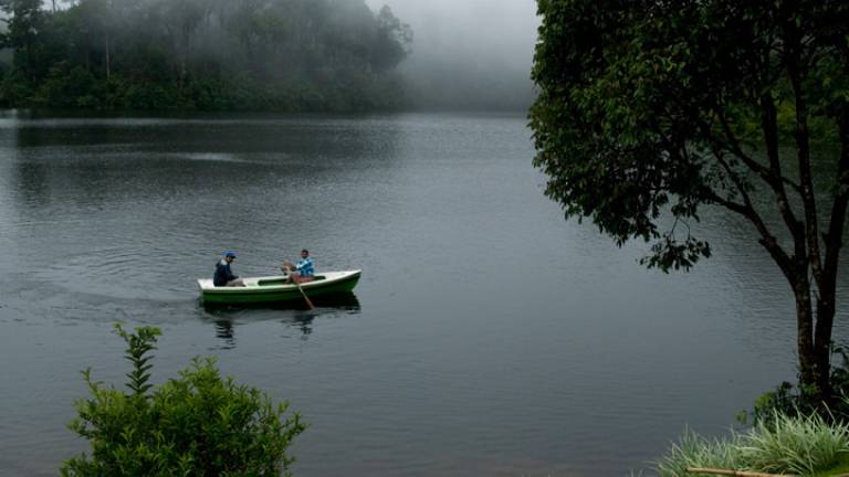 Gavi-Thekkady