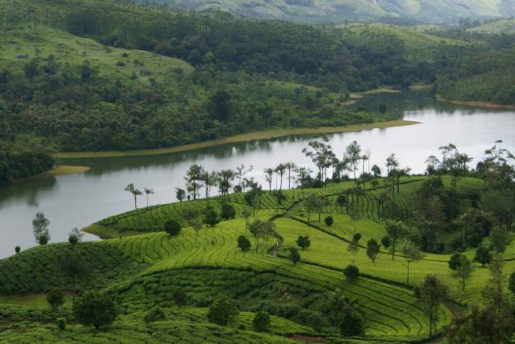 Exploring Munnar: A Trekker’s Paradise