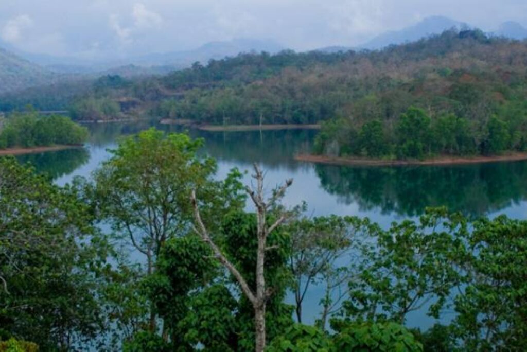 Peppara Dam and Wildlife Sancuary