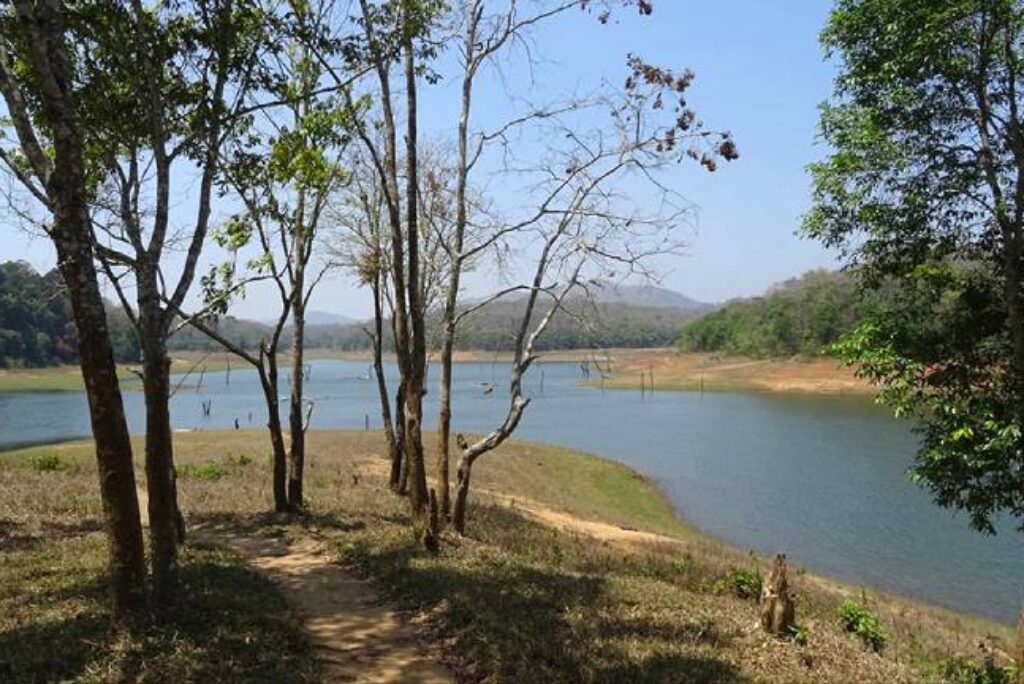 Periyar Tiger Trail