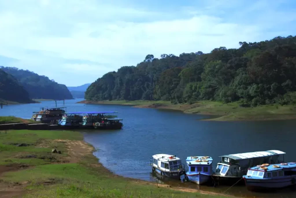 Periyar Lake Cruise