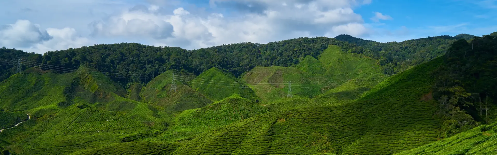 Vagamon