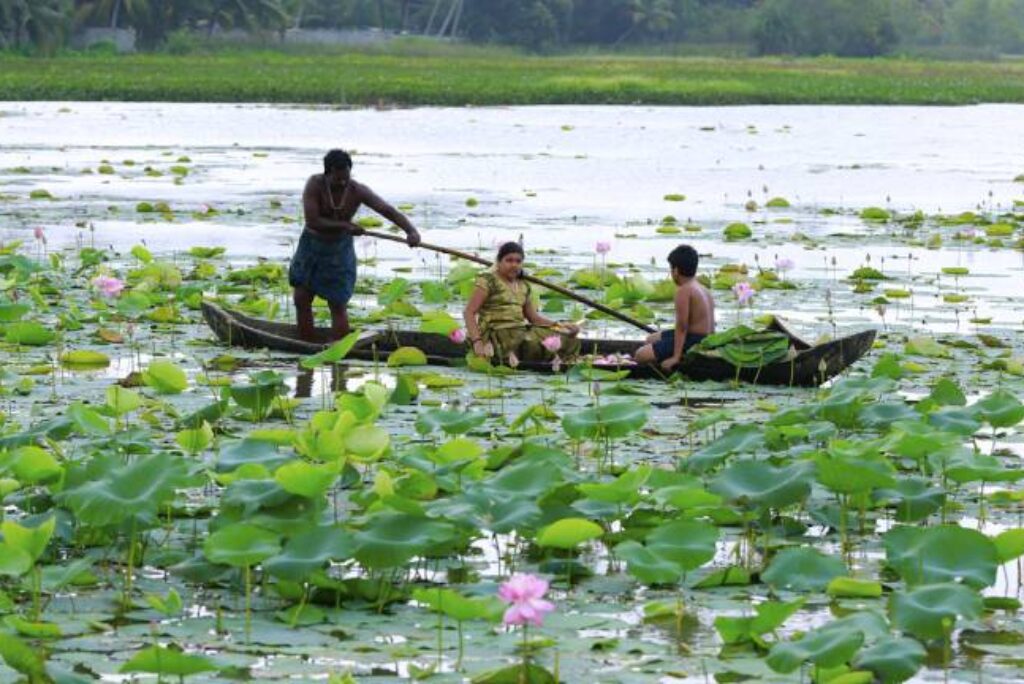 Vellayani Lake