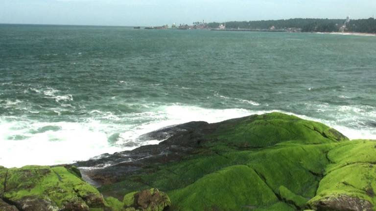 Vizhinjam -Marine Aquarium