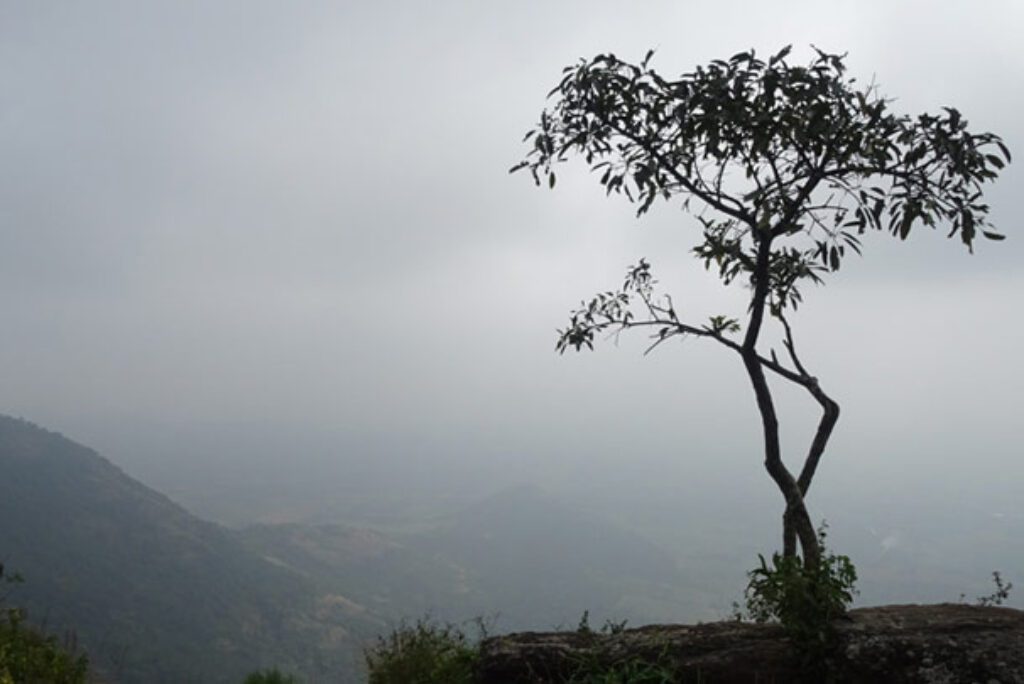 Chellarkovil View