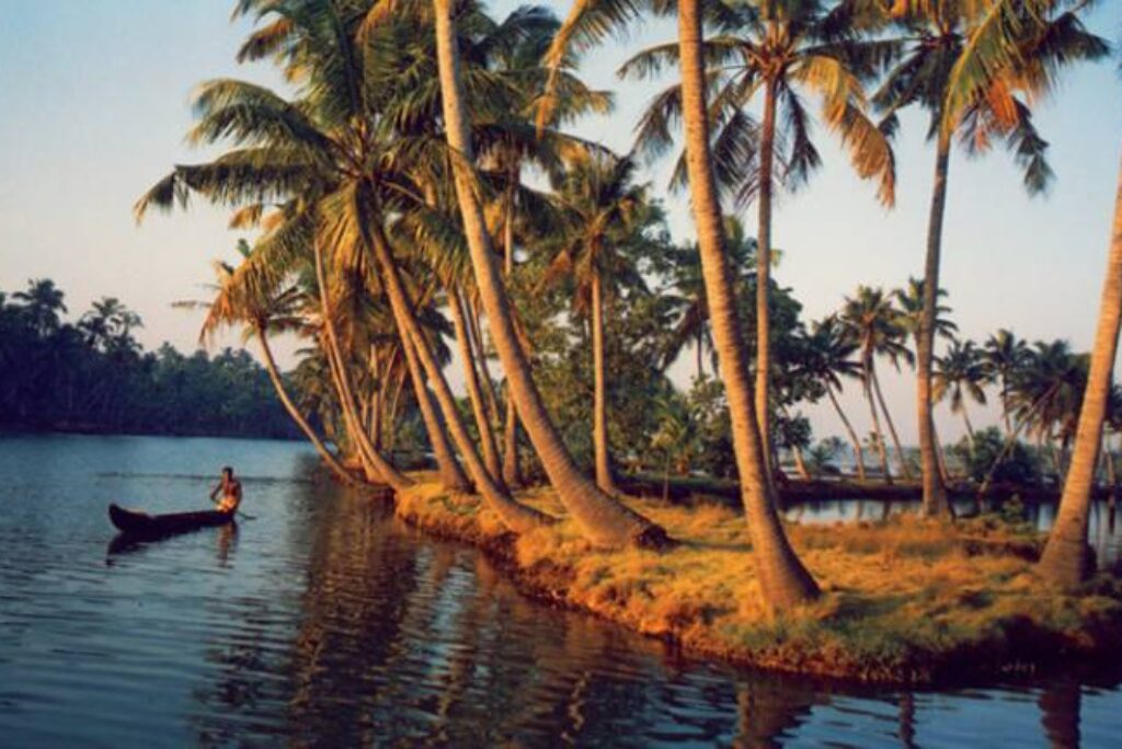 Ashtamudi lake