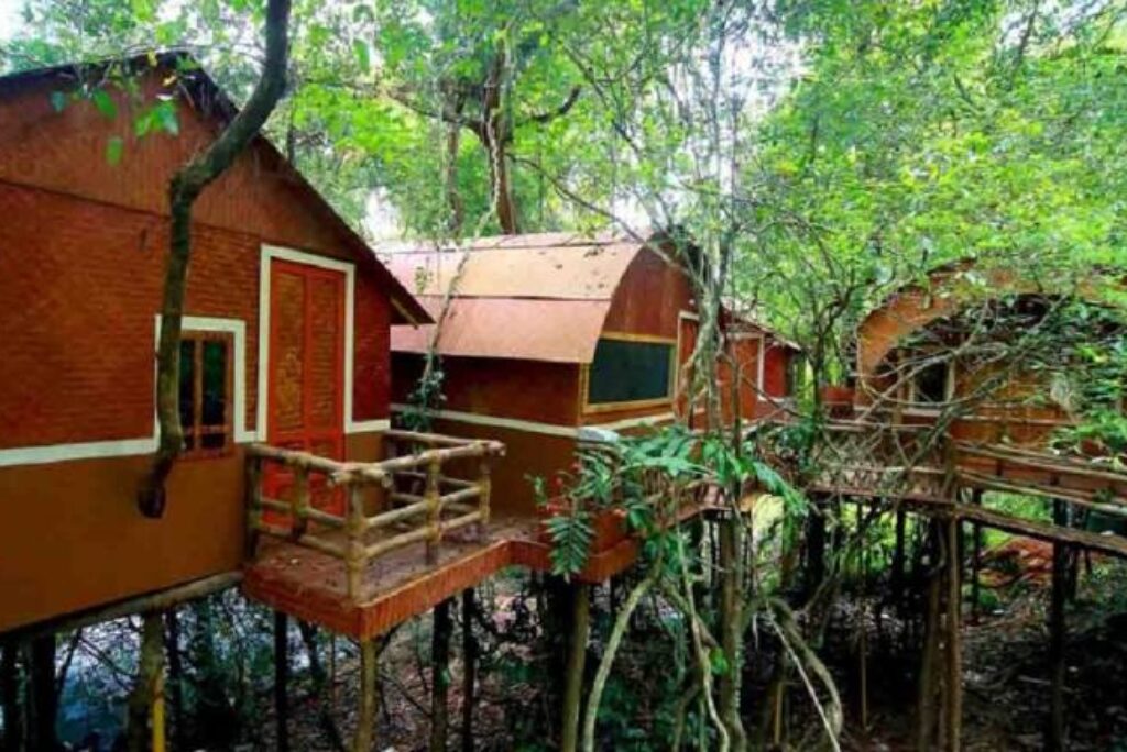 Tree Top Bamboo Huts