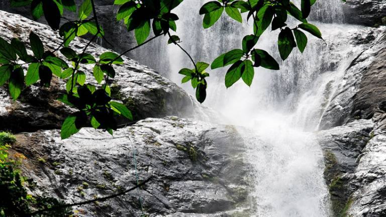 Palaruvi waterFalls