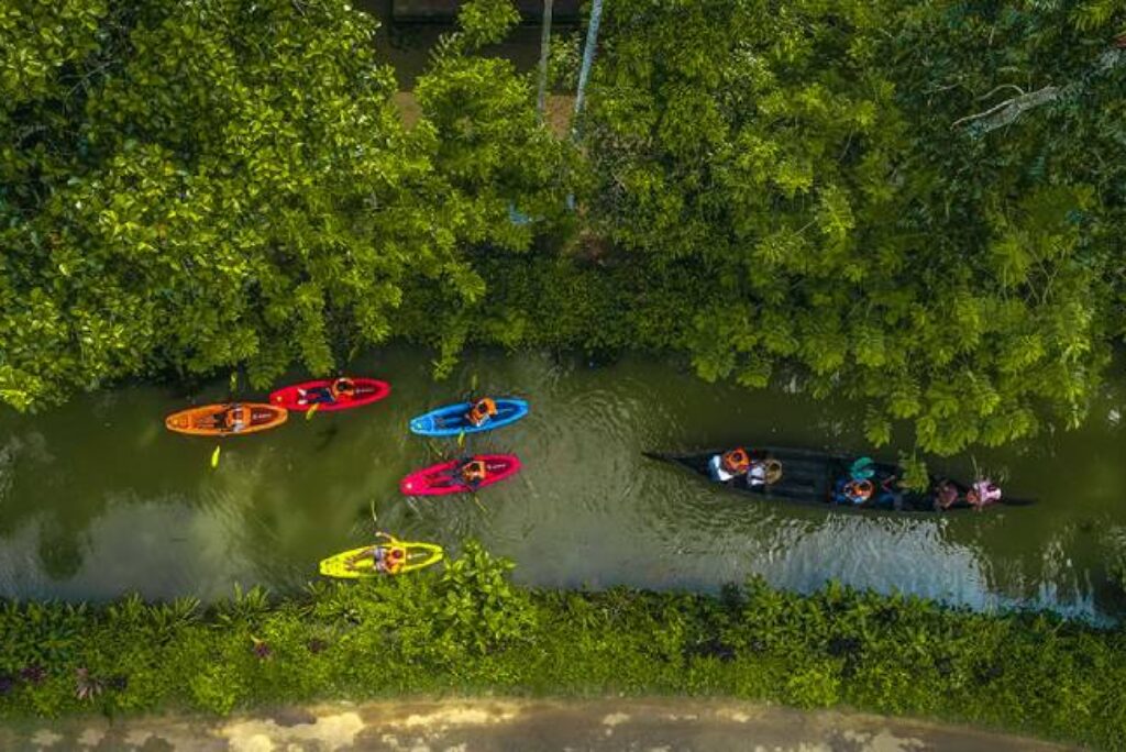 Ride the Heights : Adventure Awaits in Kuttikkanam