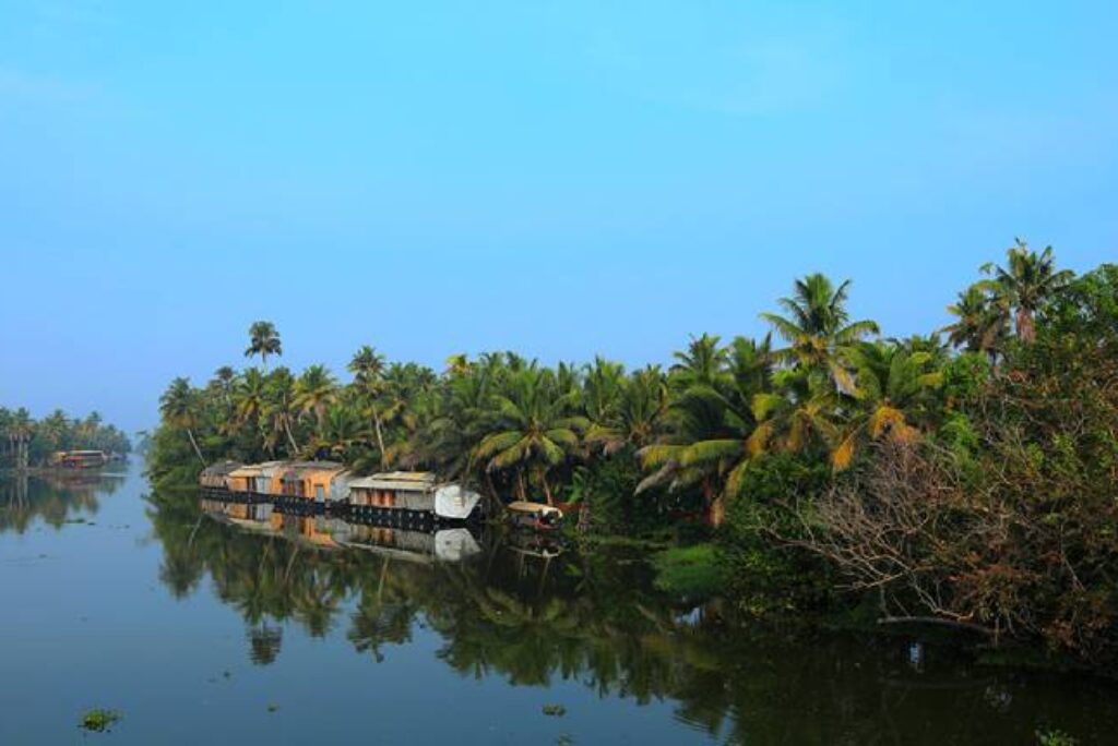 Reel in Relaxation: Fishing Fun at Palakkari Fish Farm