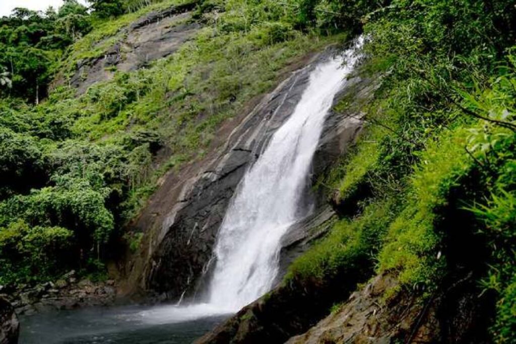 Enchanting Waterfalls of Idukki: Nature’s Cascading Wonders