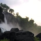 Bell Vedera Munnar