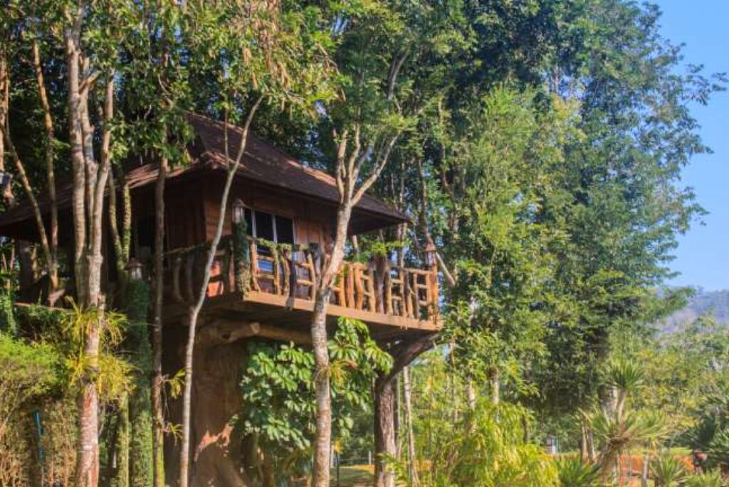 15 Treehouse Stays in India for a Unique Adventure