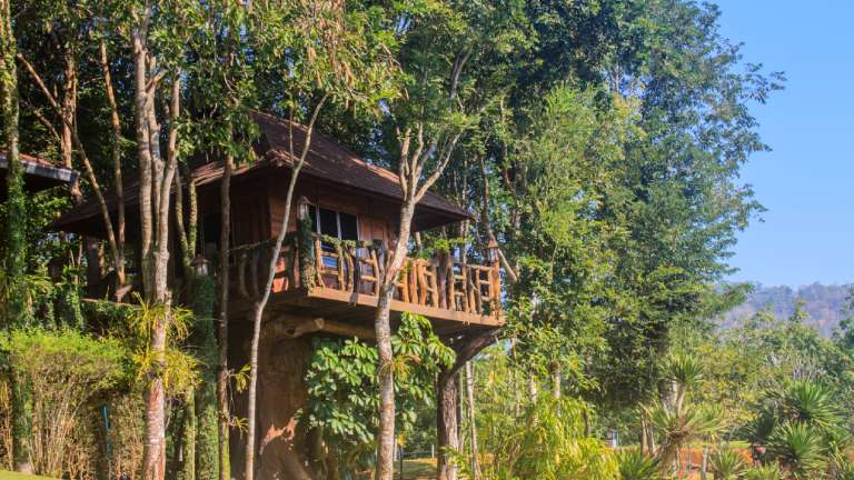 15 Treehouse Stays in India for a Unique Adventure