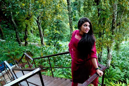 Treehouse stay in Kerala surrounded by lush green forest