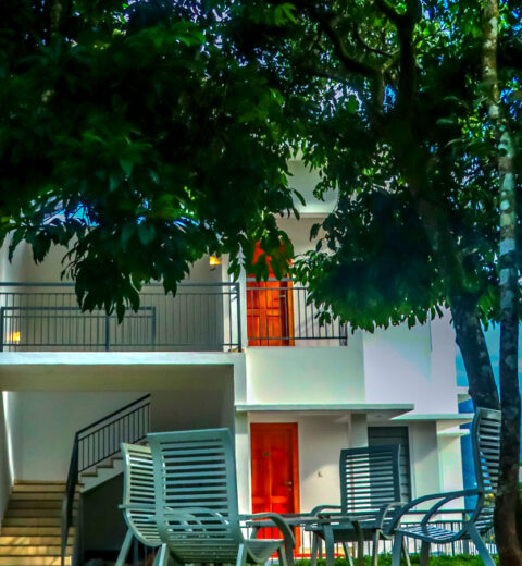 Best Things to Do in Varkala for First-Time Visitors (Cliff, Beach & Cafes)